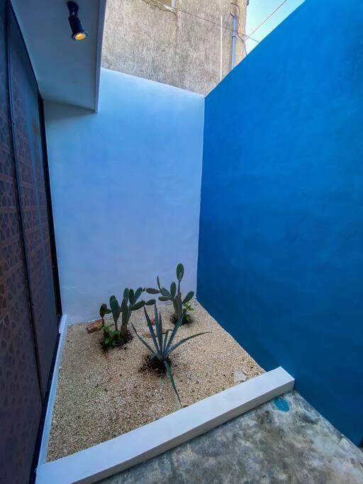 Modern Casa With Pool 7 Mins From Centro 5Min La Plancha Park Villa Mérida Eksteriør bilde